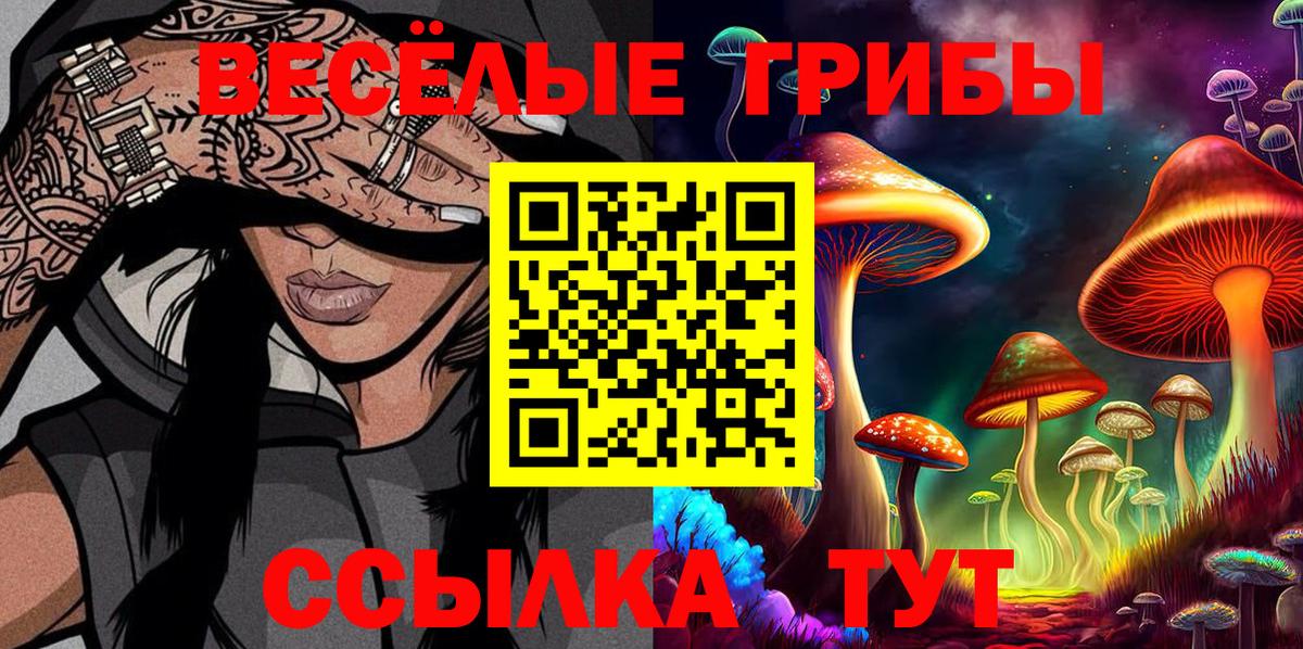 Галлюциногенные грибы GOLDEN TEACHER Советский
