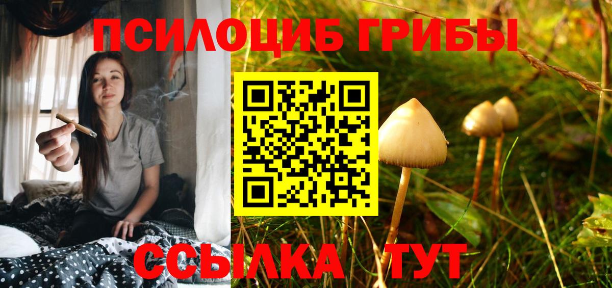 Советский  где можно купить наркотик  Псилоцибиновые грибы ЛСД  Вход с VPN  Псилоцибиновые грибы мицелий 